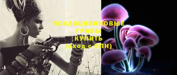 герыч Ладушкин