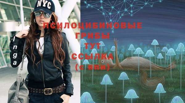 таблы Лабытнанги