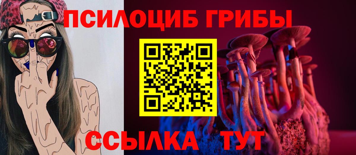 Псилоцибиновые грибы Psilocybe  Псилоцибиновые грибы мицелий  Малоярославец  Вход с VPN 