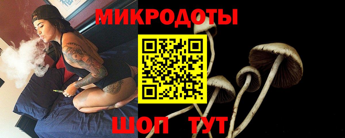 Галлюциногенные грибы Magic Shrooms Малоярославец